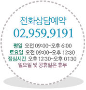 전화상담예약 02-959-9191